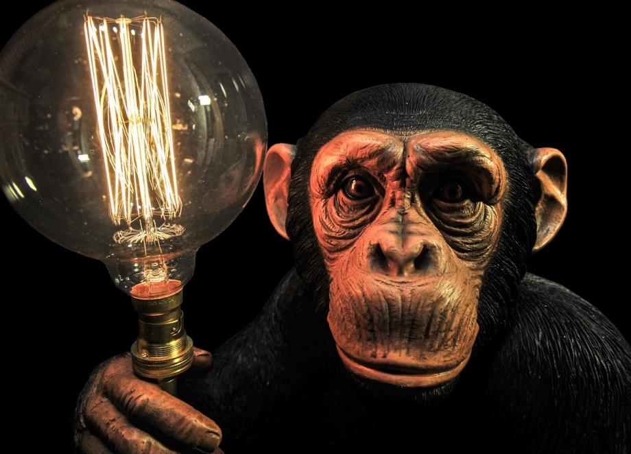 chimpanzee lamp