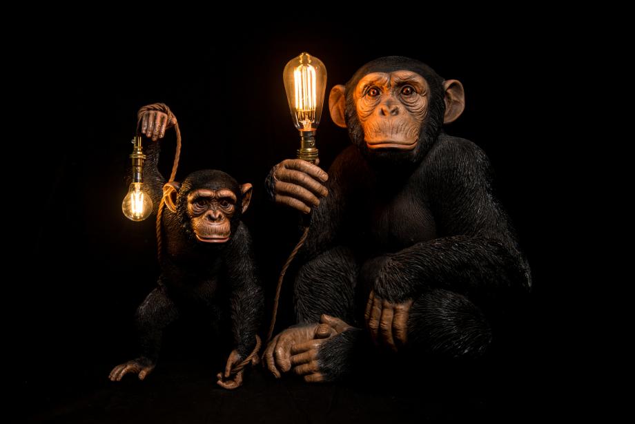 chimp lamp